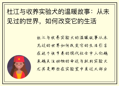 杜江与收养实验犬的温暖故事：从未见过的世界，如何改变它的生活