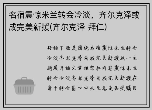 名宿震惊米兰转会冷淡，齐尔克泽或成完美新援(齐尔克泽 拜仁)