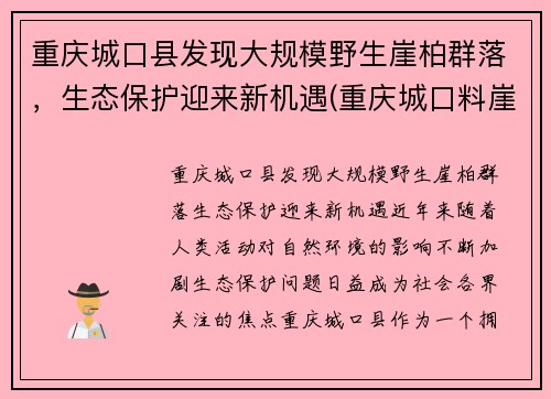 重庆城口县发现大规模野生崖柏群落，生态保护迎来新机遇(重庆城口料崖柏)